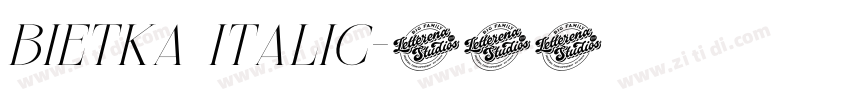 Bietka Italic字体转换 Bietka Italic字体转换